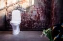 - Gustavsberg Estetic Hygienic Flush 
